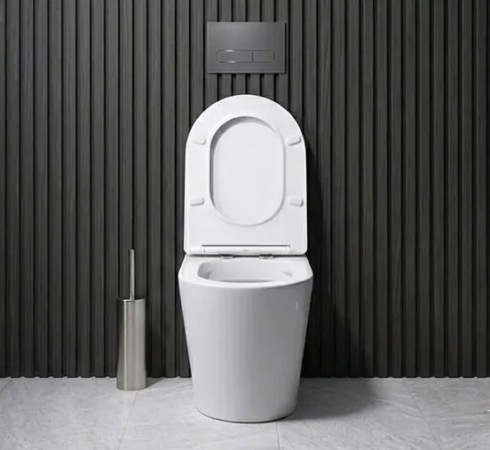 Toilet Pan Replacement in Wolverton